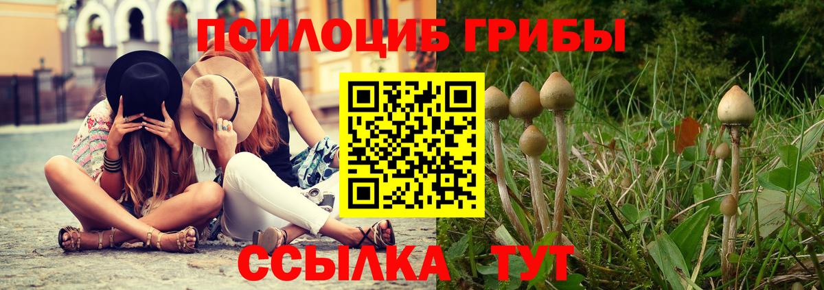 Псилоцибиновые грибы Cubensis Магнитогорск