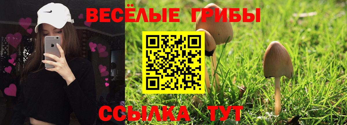 Псилоцибиновые грибы MAGIC MUSHROOMS  Галлюциногенные грибы Psilocybe  Магнитогорск  Вход с VPN 